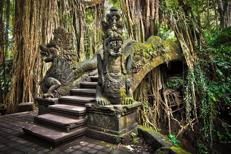 Ubud Highlights Tour
